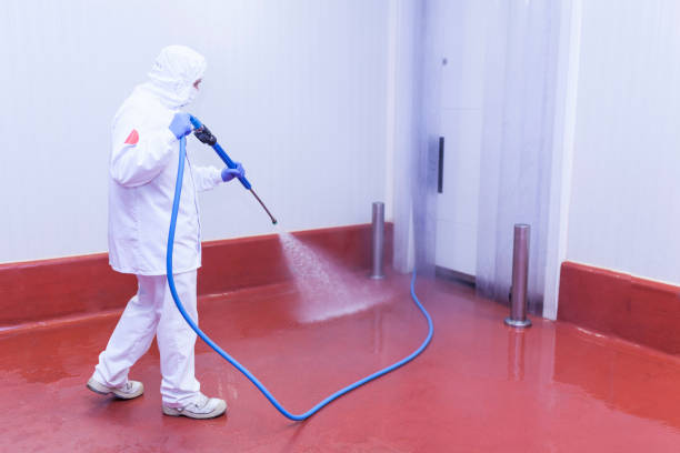  St Paul, TX Pressure Washing Pros
